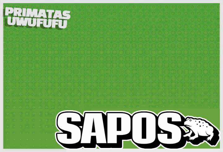 Qual o melhor sapão?